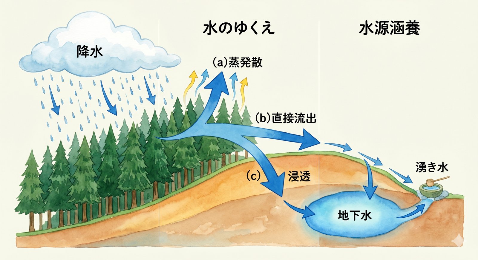 森林における水収支：降水・蒸発散・直接流出・水源涵養の概念図